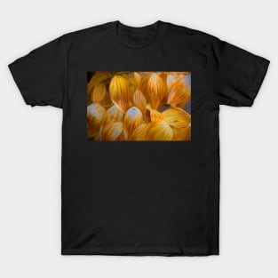 Leaf Flow and Glow T-Shirt